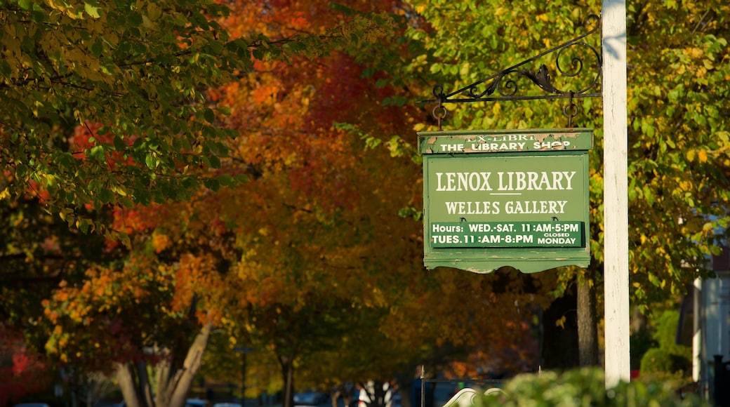 Lenox showing autumn leaves and signage