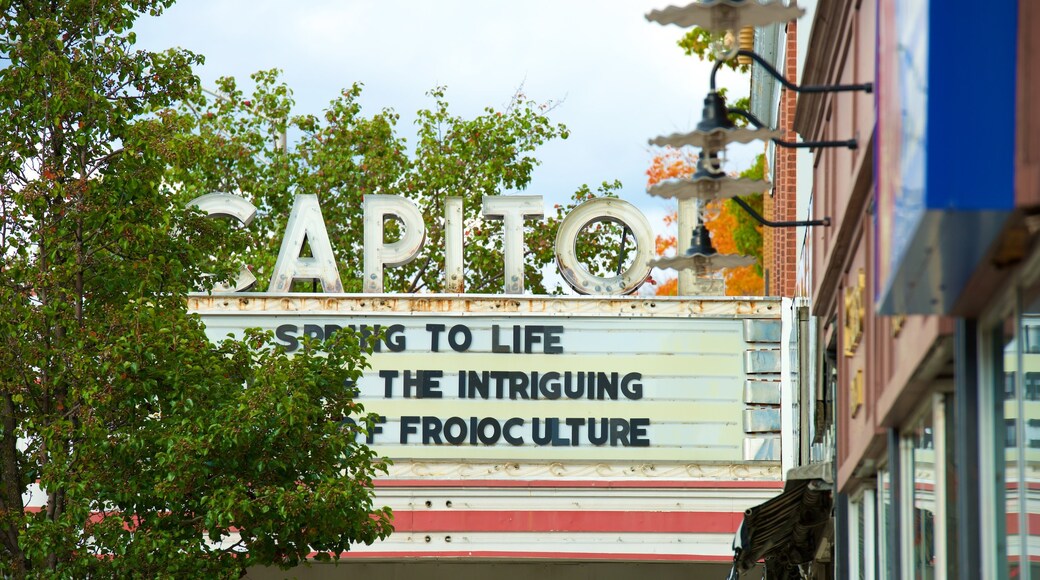 Pittsfield showing theatre scenes and signage