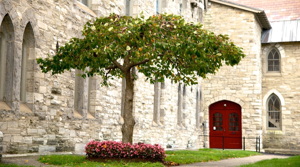 Pittsfield showing heritage elements and flowers