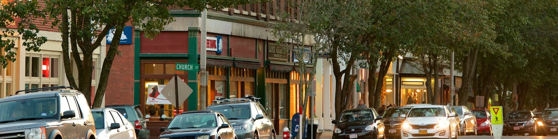 Great Barrington which includes city views