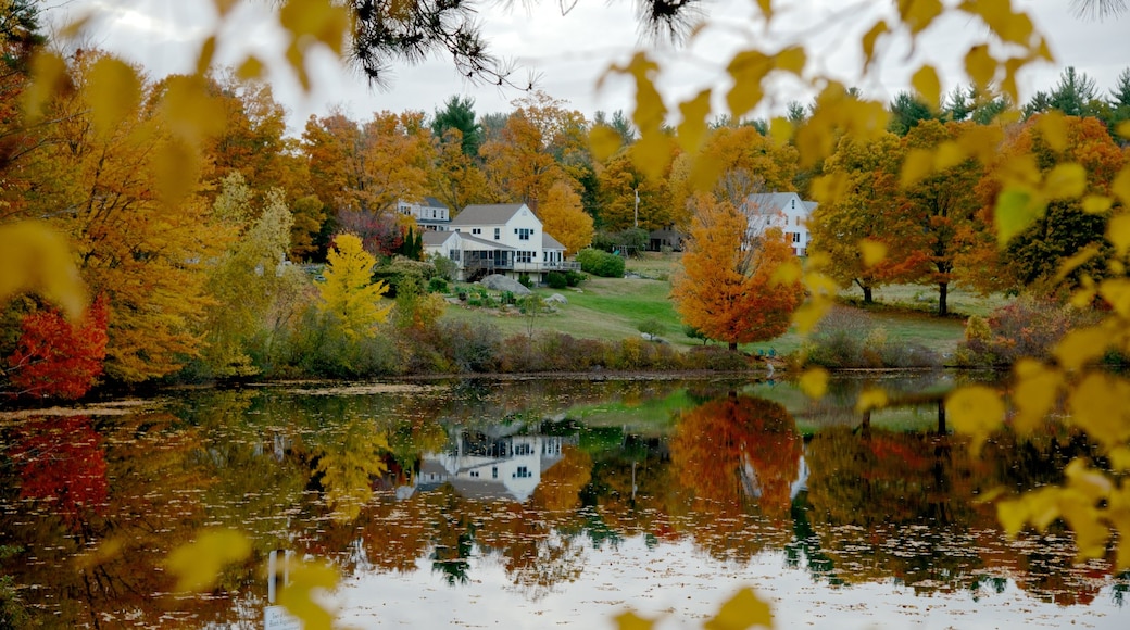 Hancock which includes fall colors and a lake or waterhole