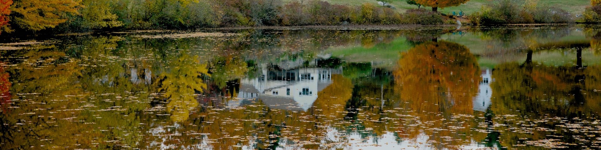 Hancock das einen HerbstblÀtter und See oder Wasserstelle