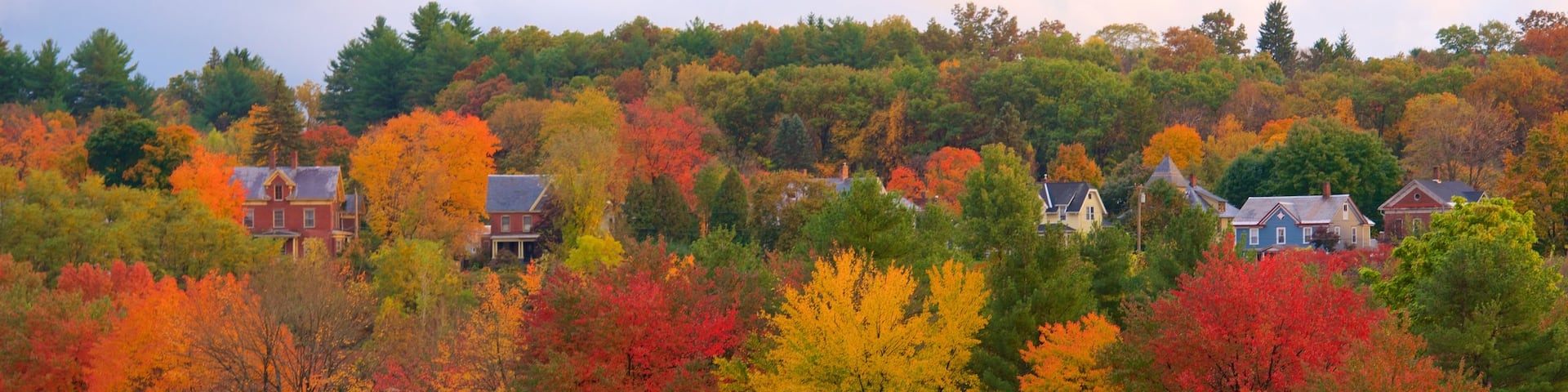 Turners Falls montrant riviĂšre ou ruisseau et feuilles d\'automne