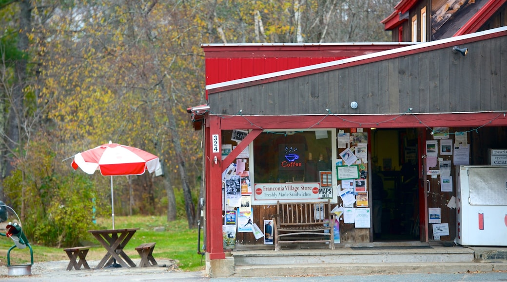 Franconia featuring shopping