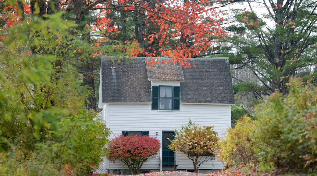 Franconia which includes a house