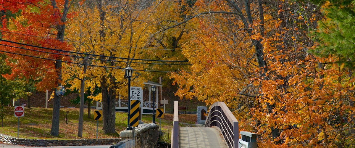 North Woodstock ofreciendo hojas de otoño y un puente