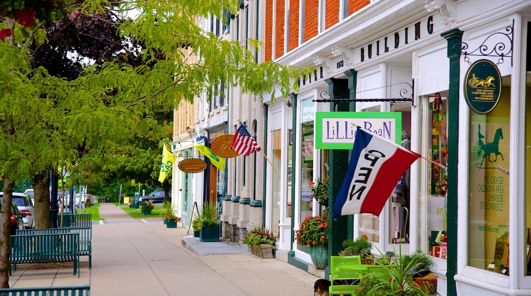 Cazenovia que incluye vistas a la ciudad