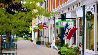 Cazenovia featuring central business district