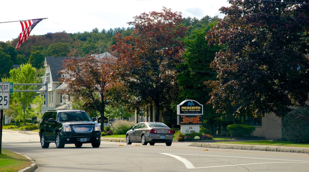 Meredith featuring a small town or village