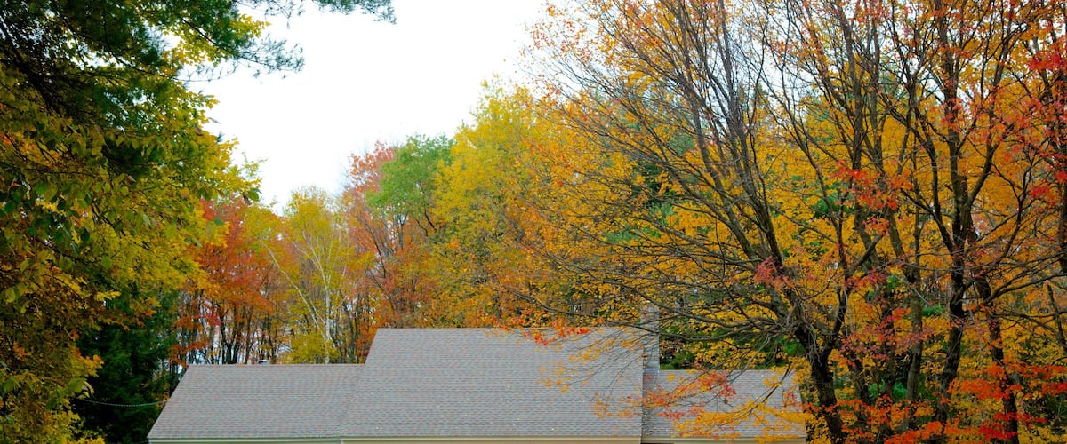 Peterborough que incluye una casa y hojas de otoño