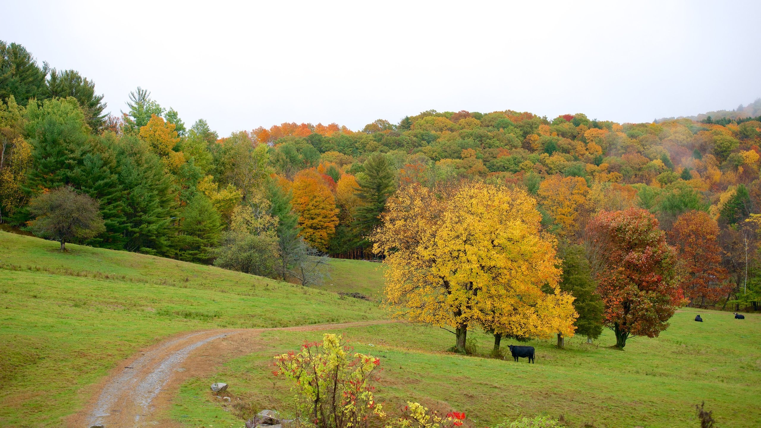 Visite Chesterfield O Melhor De Chesterfield New Hampshire Viagens 