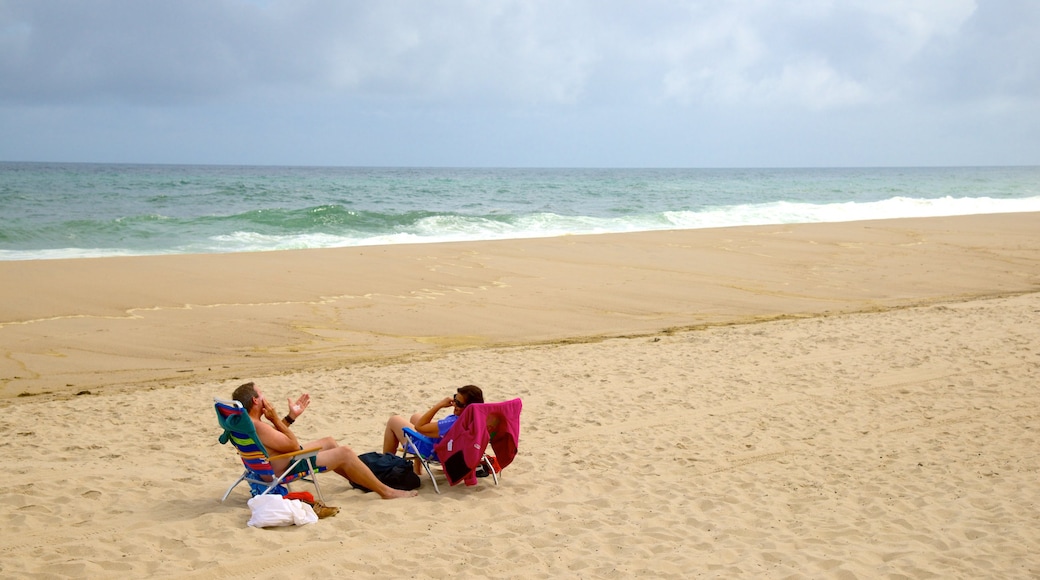 Nauset Beach mostrando spiaggia cosi come coppia