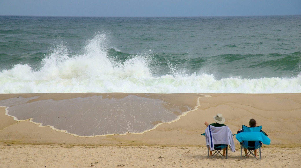 Nauset Beach showing a sandy beach as well as a couple
