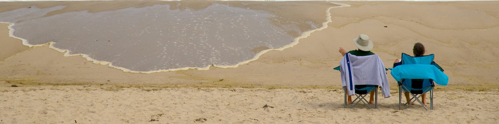Nauset Beach which includes a sandy beach as well as a couple