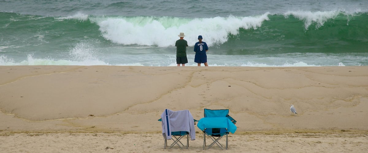 Nauset Beach showing a beach as well as a couple