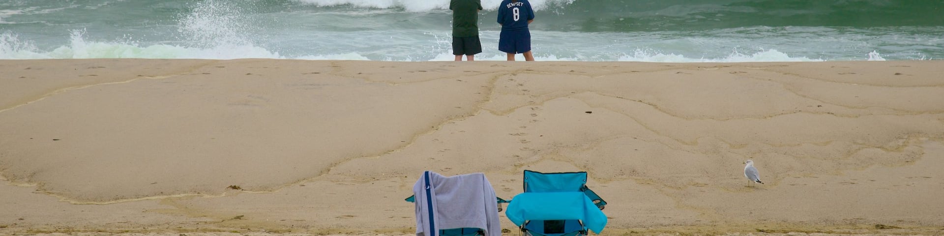 Nauset Beach featuring a beach as well as a couple