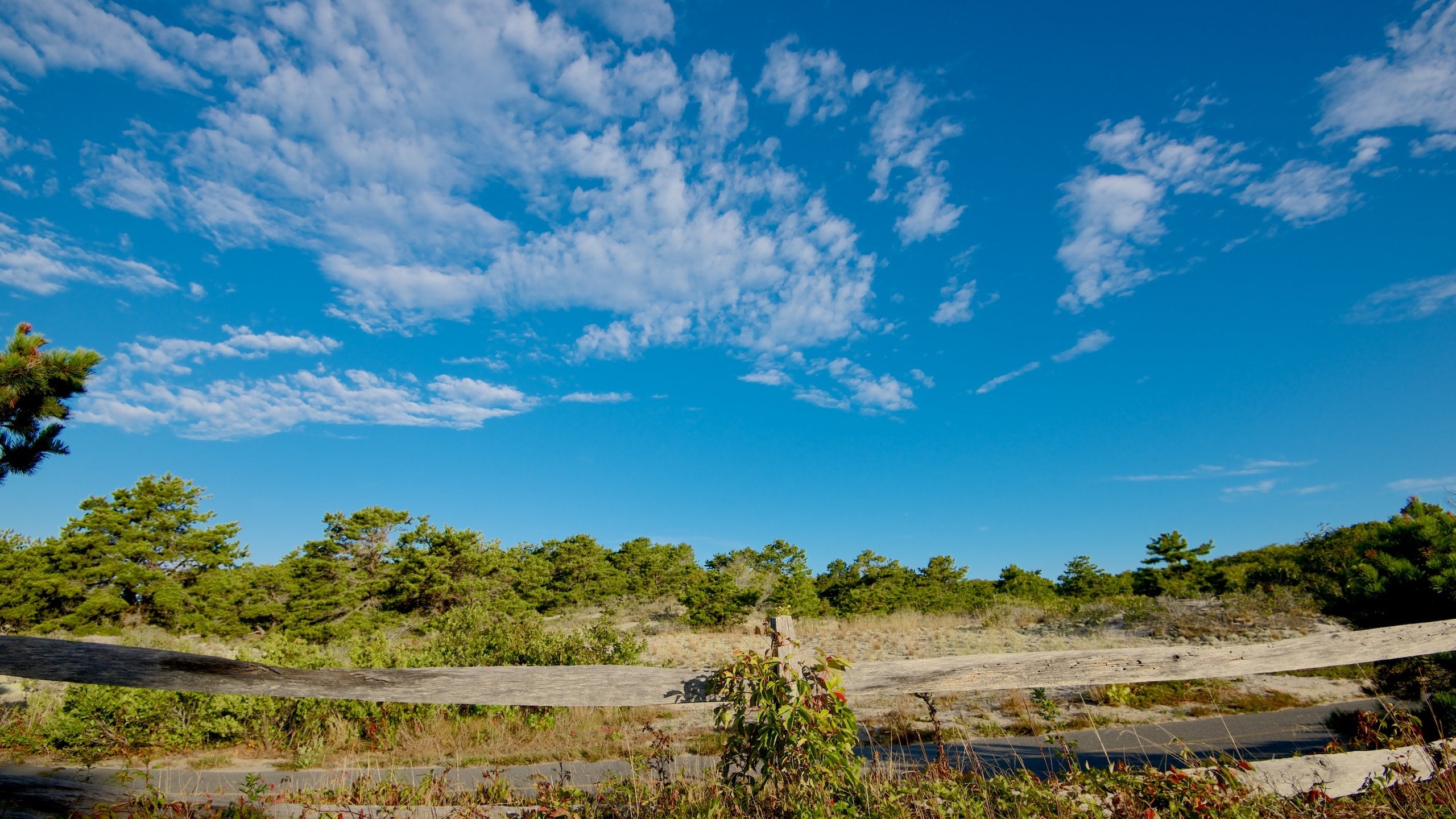 Cape Cod National Seashore which includes tranquil scenes