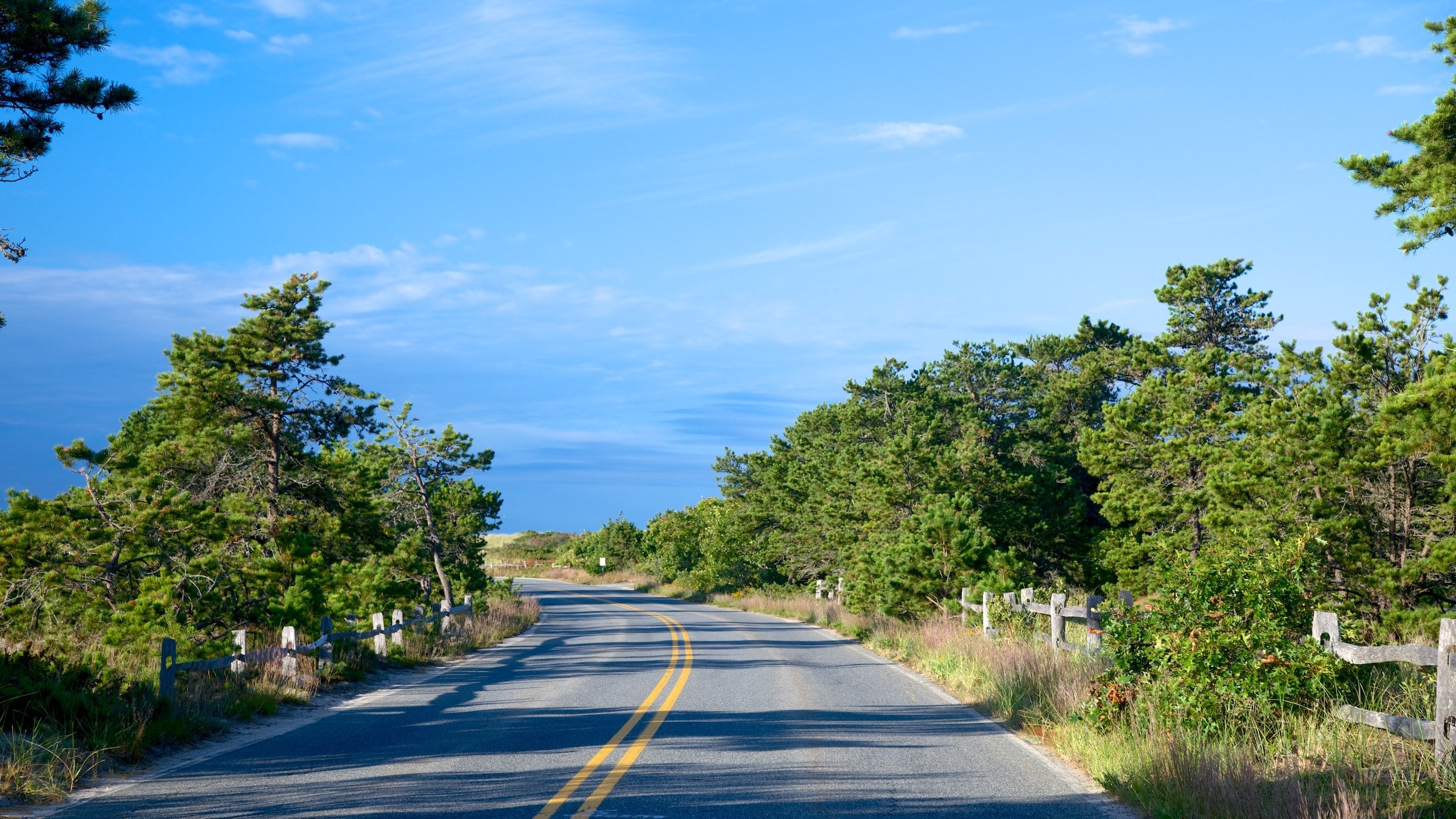 Cape Cod National Seashore featuring tranquil scenes