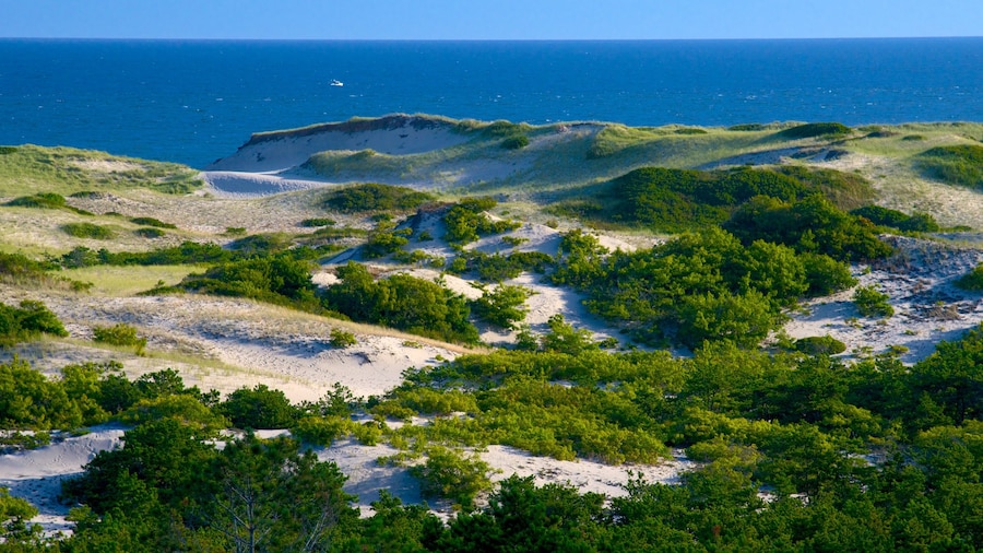 Cape Cod National Seashore showing general coastal views and tranquil scenes