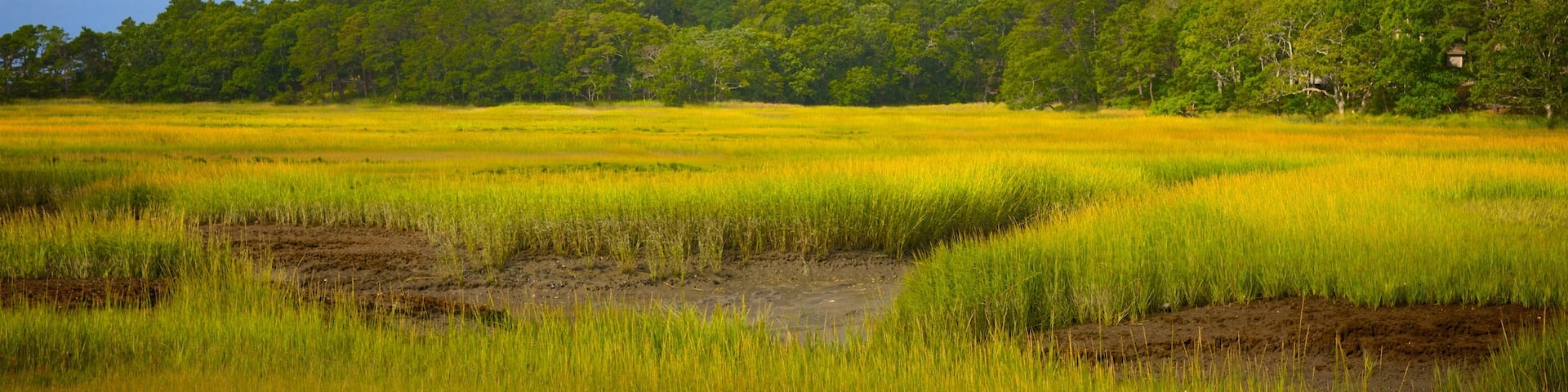 Cape Cod National Seashore mit einem ruhige Szenerie