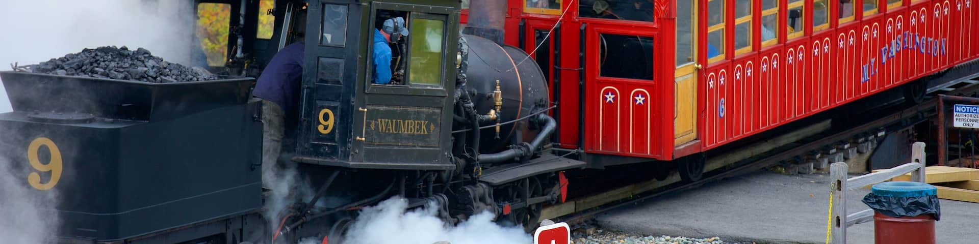 Mount Washington Cog Railway showing railway items