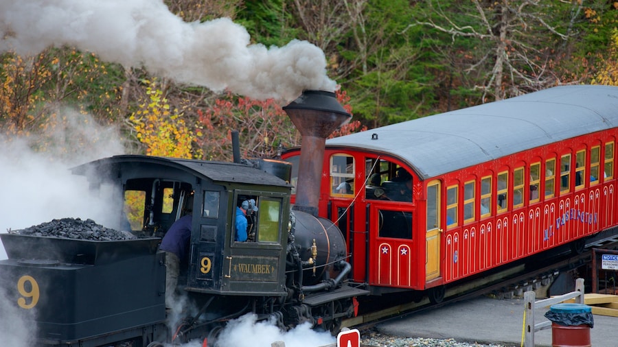 Mount Washington Cog Railway