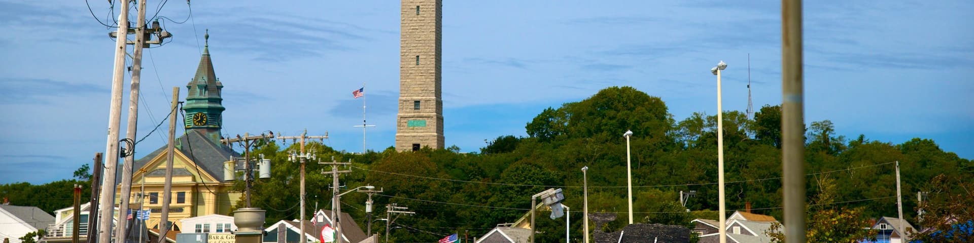 Pilgrim Monument featuring a monument