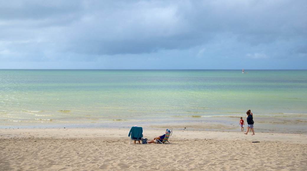 Skaket Beach featuring a beach as well as a family