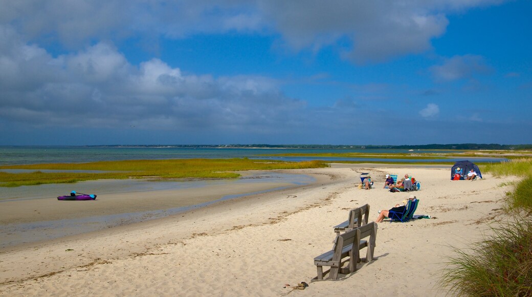 Skaket strand og byder på en sandstrand