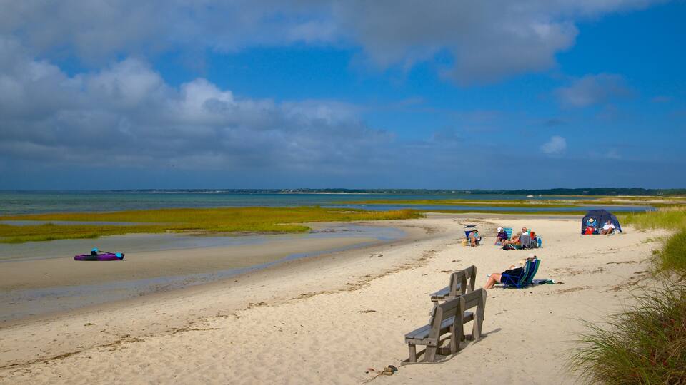 Skaket Beach which includes a sandy beach