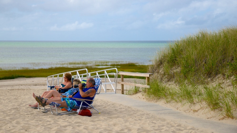 Skaket Beach som visar en strand såväl som en familj
