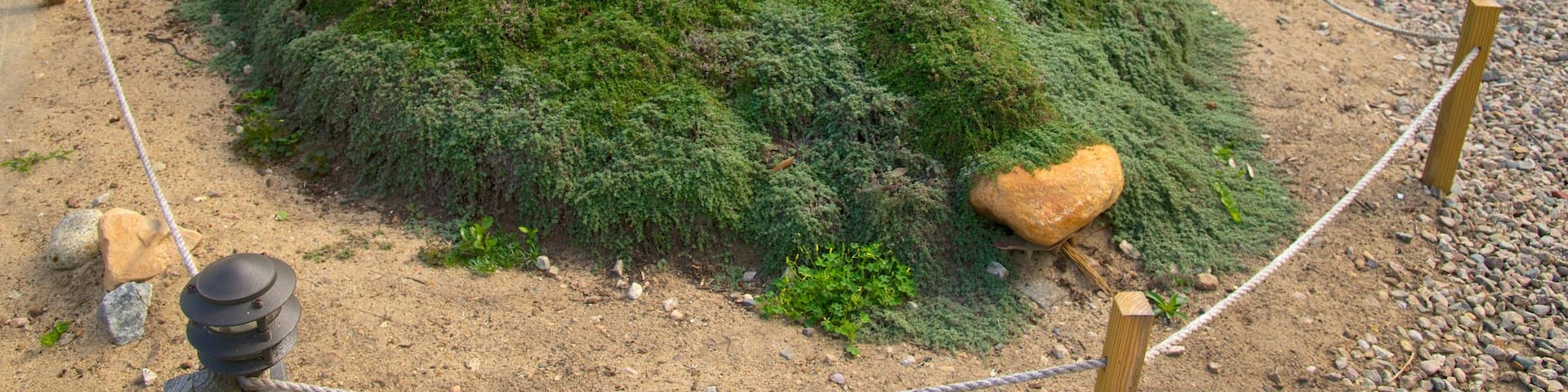 ケープ コッド自然史博物館 フィーチャー 屋外アート