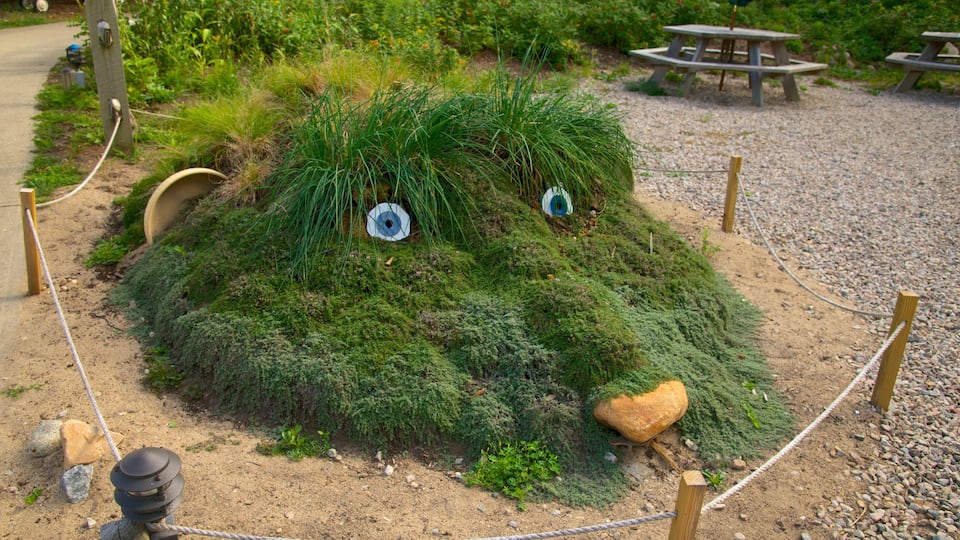 Cape Cod Museum of Natural History featuring outdoor art
