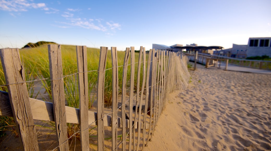 Herring Cove Beach ofreciendo una playa de arena