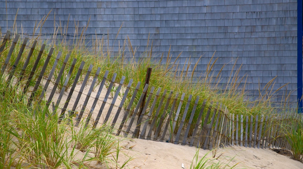 Head of the Meadow Beach featuring a beach