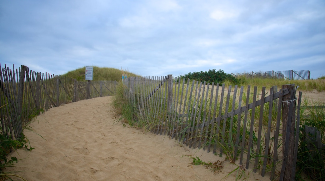 Head of the Meadow Beach showing general coastal views