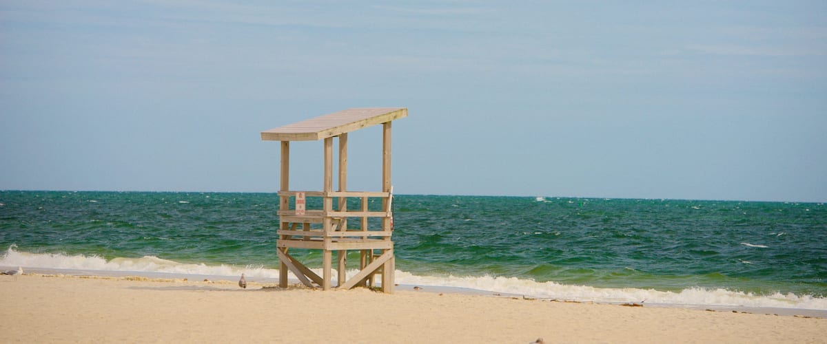 Seagull 海灘 其中包括 海灘