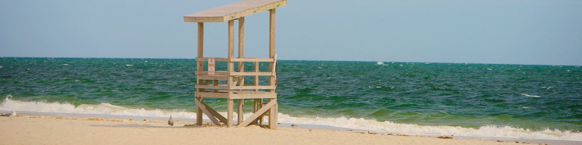 Seagull Beach featuring a sandy beach