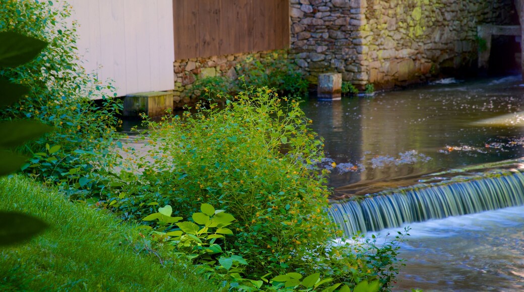 Jenney Grist Mill showing a pond and a garden