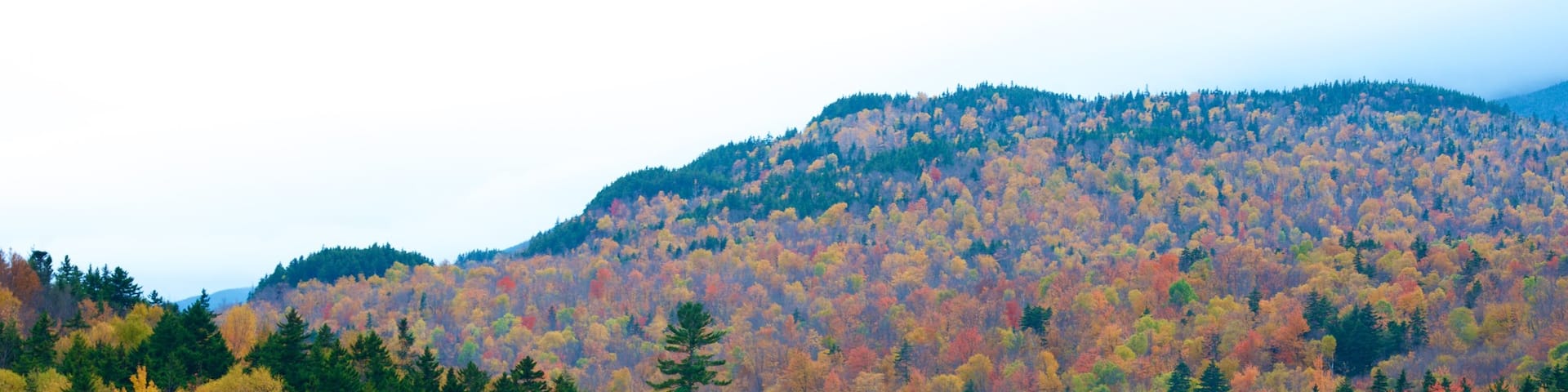 Mount Washington State Park qui includes couleurs dâautomne, paysages en forĂȘt et montagnes
