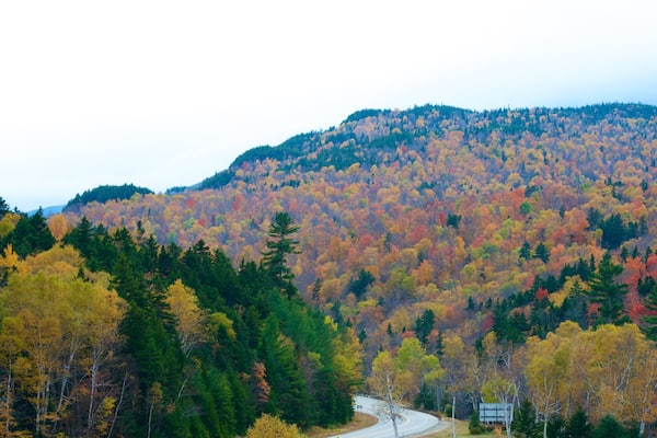 Mount Washington State Park das einen Berge, Waldmotive und Herbstblätter