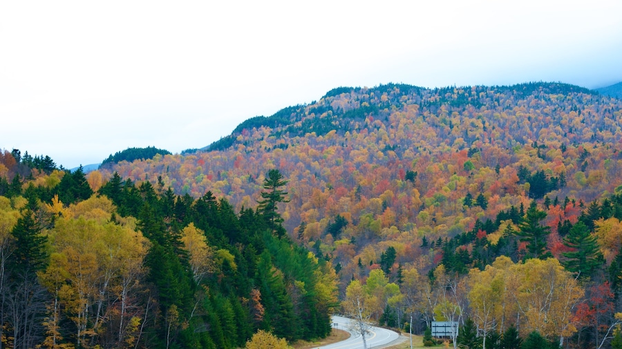 Taman Negeri Gunung Washington