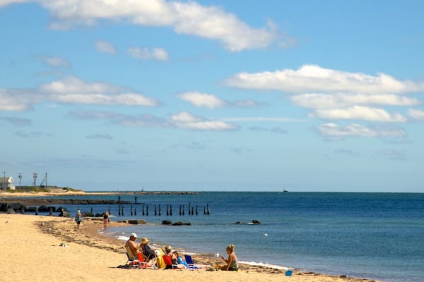 Surf Drive Beach montrant plage aussi bien que petit groupe de personnes