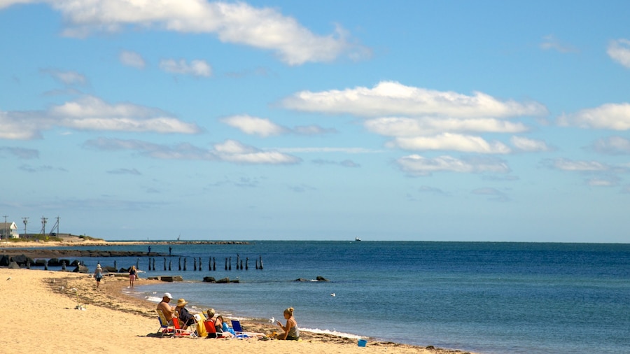 Surf Drive Beach che include spiaggia cosi come un piccolo gruppo di persone