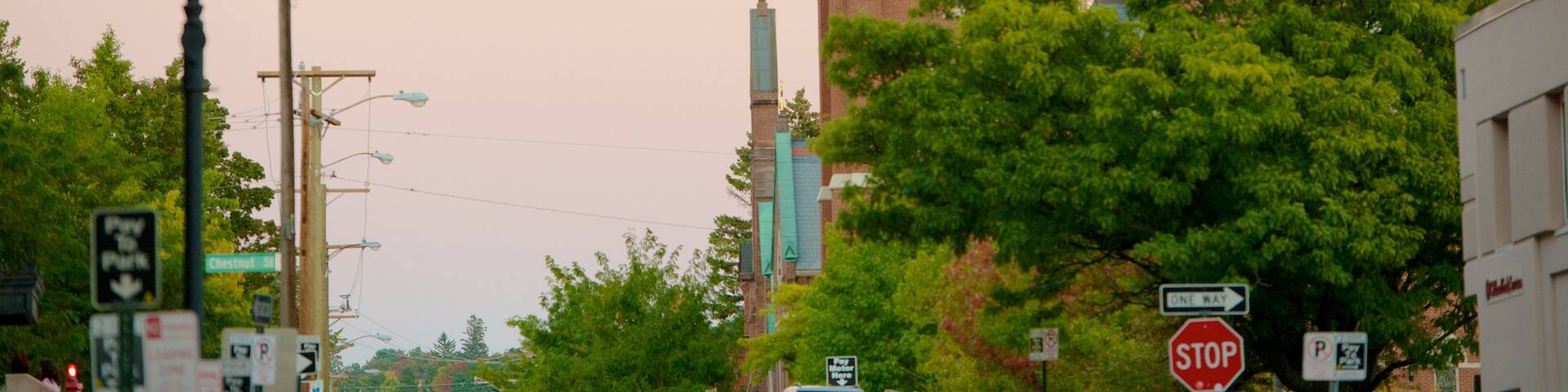 Cathedral of St Joseph which includes a church or cathedral