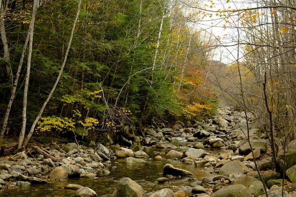 Lost River Gorge and Boulder Caves qui includes scènes forestières et rivière ou ruisseau
