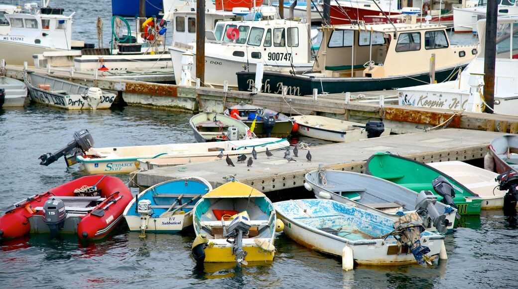 MacMillan Pier featuring a marina