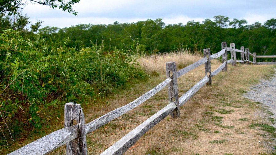 Salt Pond Visitor Center