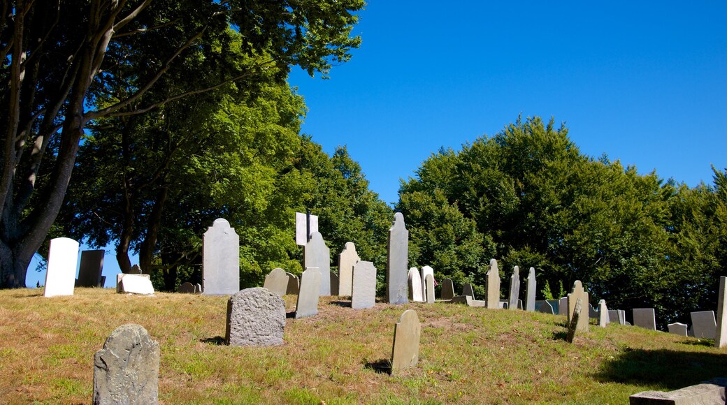 Burial Hill showing a cemetery