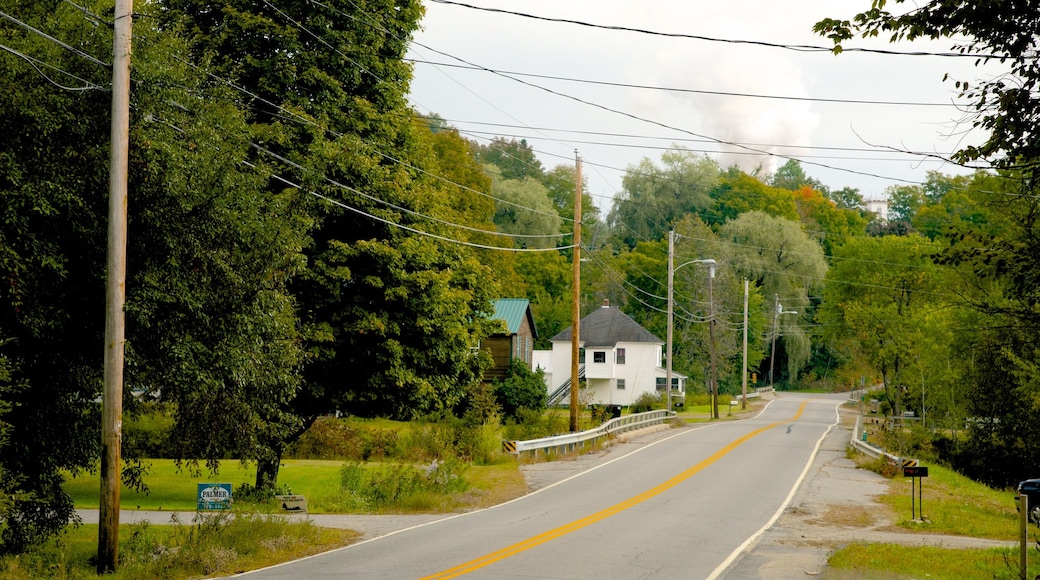 Maine showing street scenes and a house